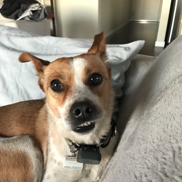 Meet your Posher, Sheryl - Picture 3 of 8